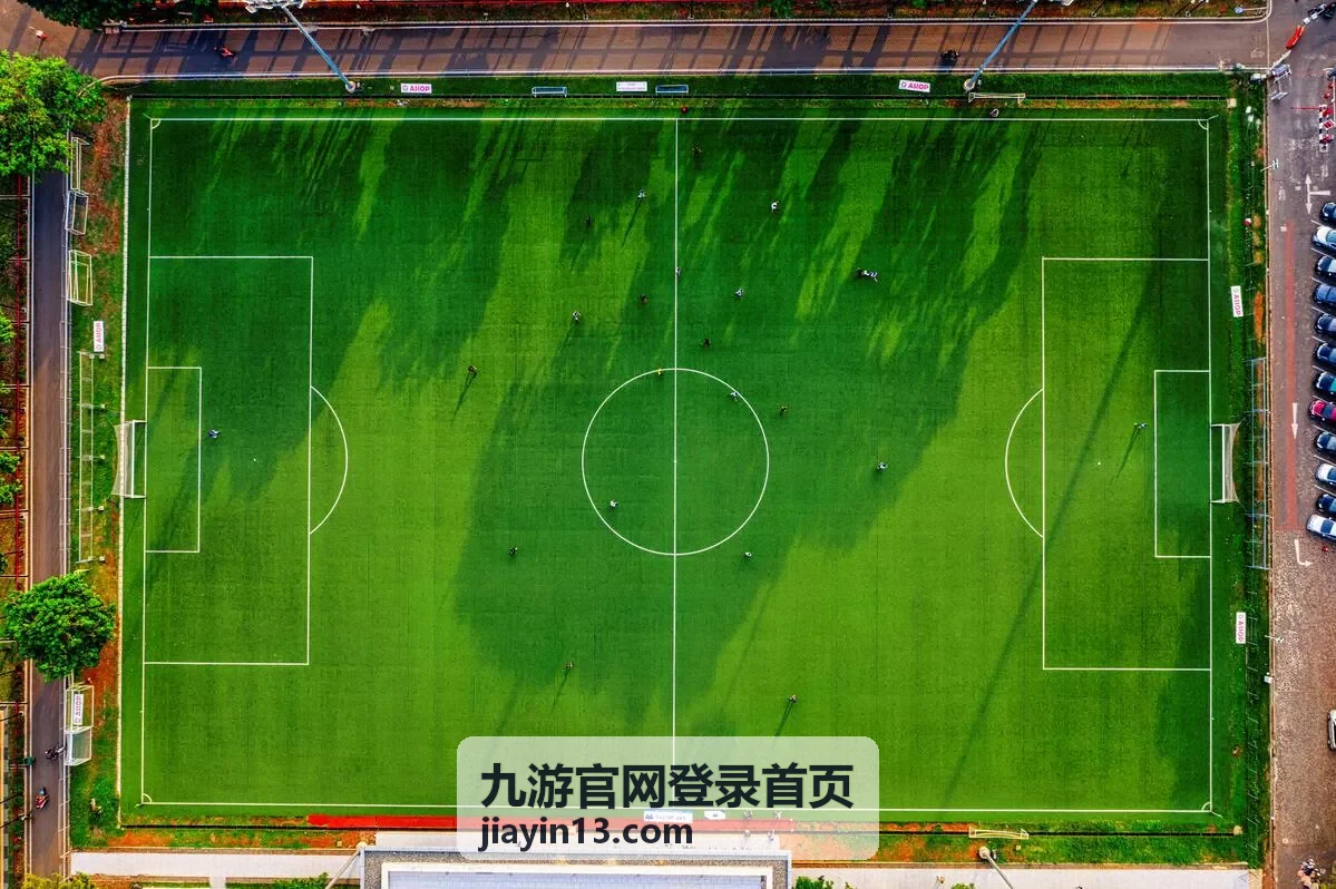 九游官网登录首页密码重置流程说明配图